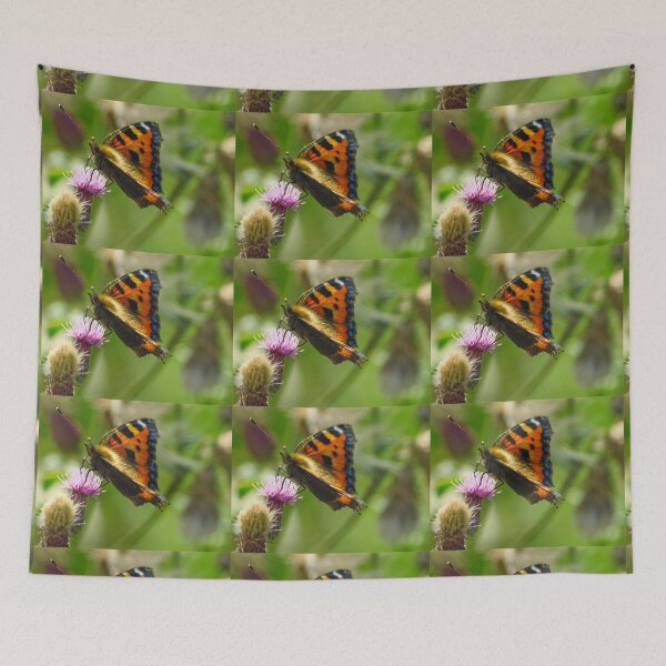 Item preview, Tortoiseshell butterfly from Dove Stone Reservoir Sep-2020 designed and sold by PicsByTony.
