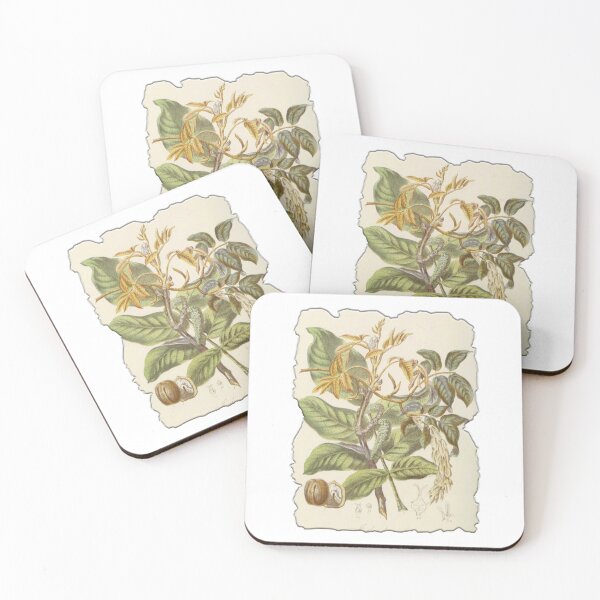 Item preview, Vintage Botanical Floral Flower Plant Art Drawing designed and sold by PodiShawna.