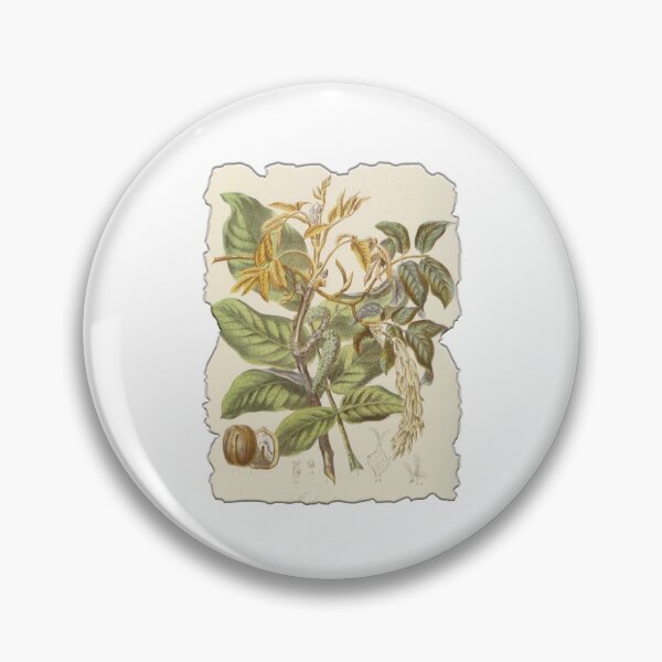 Item preview, Vintage Botanical Floral Flower Plant Art Drawing designed and sold by PodiShawna.