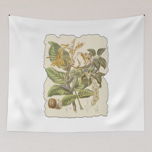 Item preview, Vintage Botanical Floral Flower Plant Art Drawing designed and sold by PodiShawna.