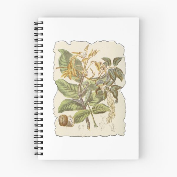 Item preview, Vintage Botanical Floral Flower Plant Art Drawing designed and sold by PodiShawna.