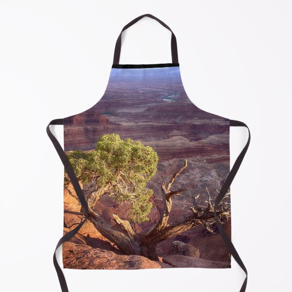 Artikelvorschau, Leben am Rande - Canyonlands National Park entworfen und verkauft von Kathy Weaver.