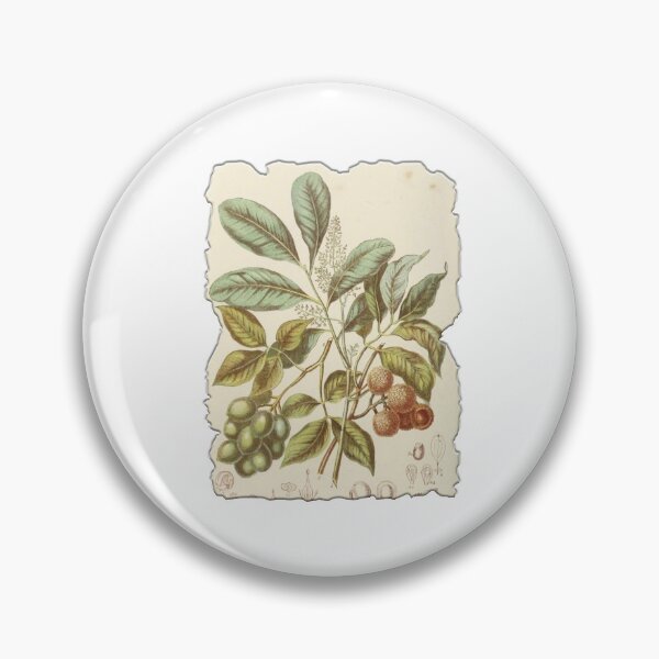 Item preview, Vintage Botanical Floral Flower Plant Art Drawing designed and sold by PodiShawna.