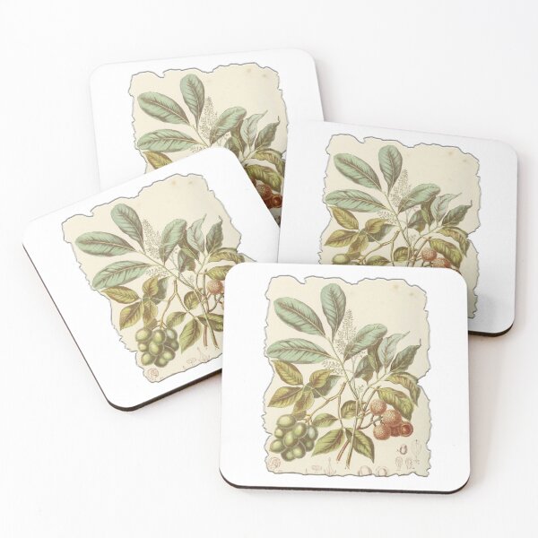 Item preview, Vintage Botanical Floral Flower Plant Art Drawing designed and sold by PodiShawna.