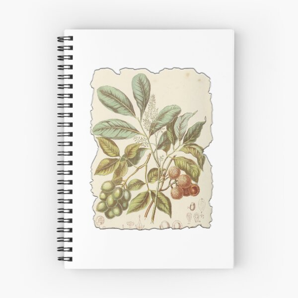 Item preview, Vintage Botanical Floral Flower Plant Art Drawing designed and sold by PodiShawna.