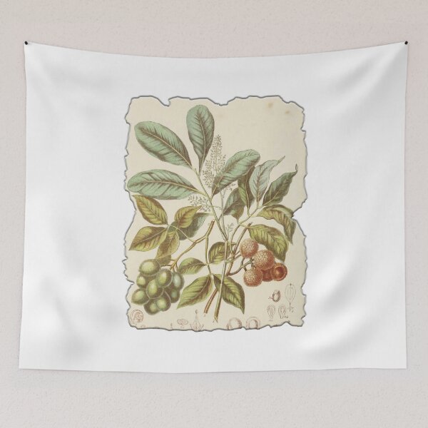 Item preview, Vintage Botanical Floral Flower Plant Art Drawing designed and sold by PodiShawna.