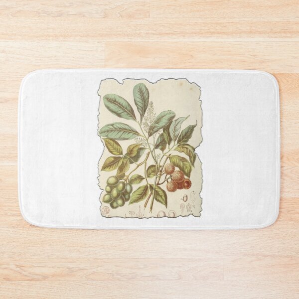 Item preview, Vintage Botanical Floral Flower Plant Art Drawing designed and sold by PodiShawna.