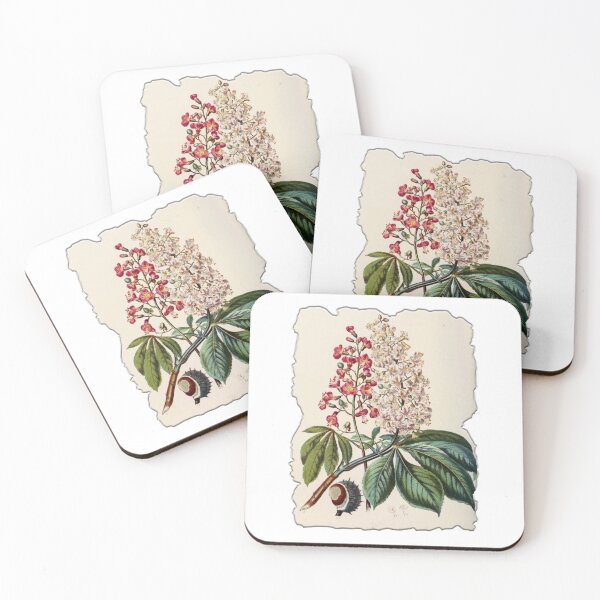 Item preview, Vintage Botanical Floral Flower Plant Art Drawing designed and sold by PodiShawna.