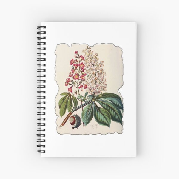Item preview, Vintage Botanical Floral Flower Plant Art Drawing designed and sold by PodiShawna.