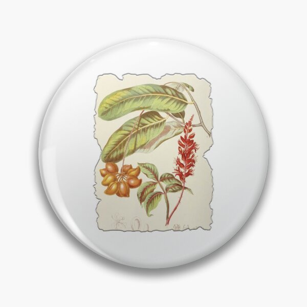 Item preview, Vintage Botanical Floral Flower Plant Art Drawing designed and sold by PodiShawna.