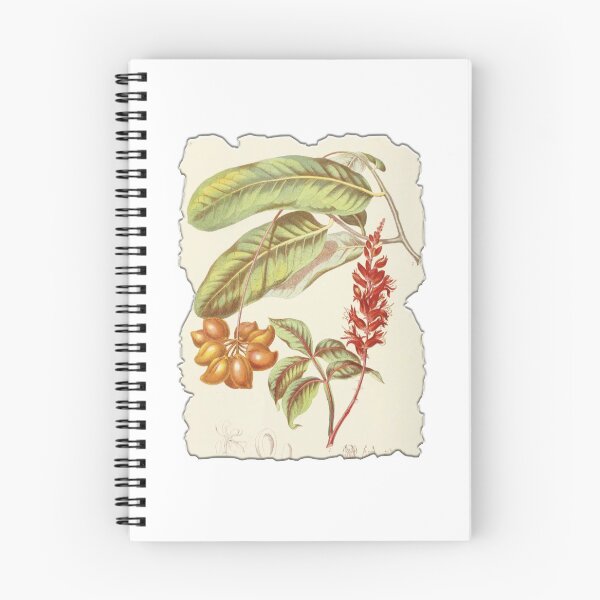 Item preview, Vintage Botanical Floral Flower Plant Art Drawing designed and sold by PodiShawna.
