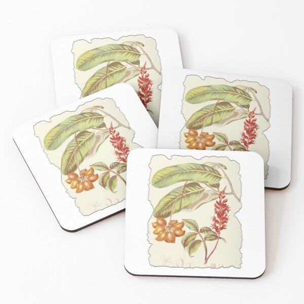 Item preview, Vintage Botanical Floral Flower Plant Art Drawing designed and sold by PodiShawna.