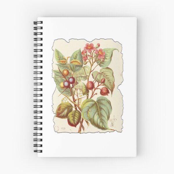 Item preview, Vintage Botanical Floral Flower Plant Art Drawing designed and sold by PodiShawna.