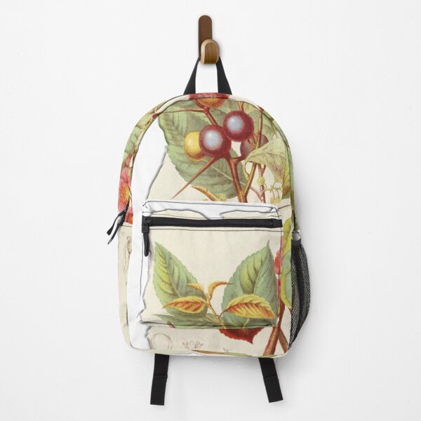 Item preview, Vintage Botanical Floral Flower Plant Art Drawing designed and sold by PodiShawna.