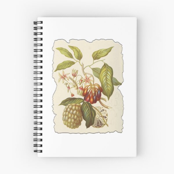 Item preview, Vintage Botanical Floral Flower Plant Art Drawing designed and sold by PodiShawna.