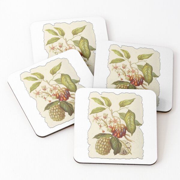 Item preview, Vintage Botanical Floral Flower Plant Art Drawing designed and sold by PodiShawna.