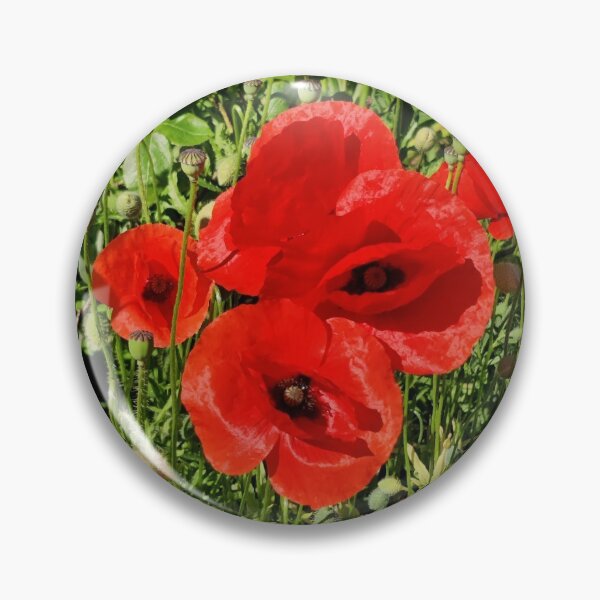Item preview, Bright red poppies in Flanders' Fields designed and sold by wineandwords.