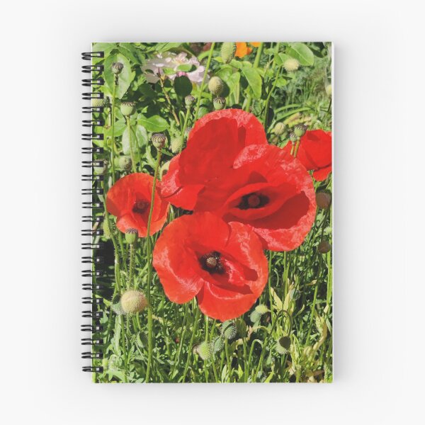 Item preview, Bright red poppies in Flanders' Fields designed and sold by wineandwords.