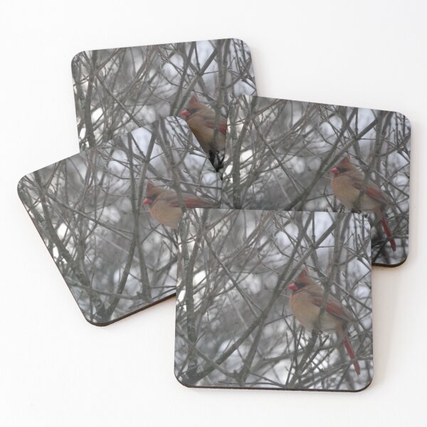 Item preview, Female Cardinal in Winter designed and sold by grygiel5.