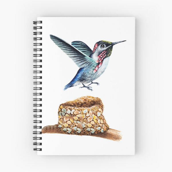 Item preview, Hummingbirds, above, bees, hummingbirds (Trochilidae): There are 1 family, 2 subfamilies, 104 genera, and 355 species. designed and sold by zenger2021.