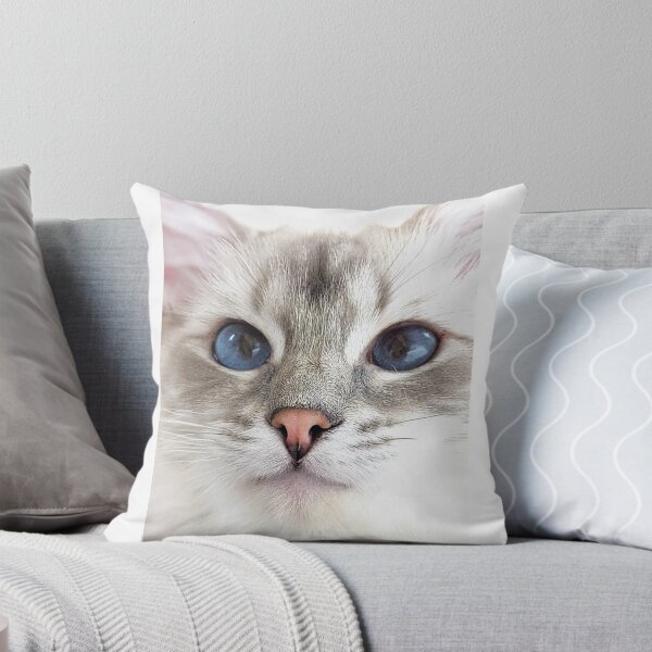 Item preview, Saoirse the lynx ragdoll cat designed and sold by Fluffycat2020.