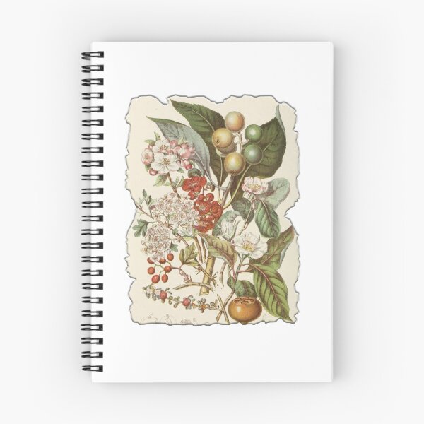 Item preview, Vintage Botanical Floral Flower Plant Art Drawing designed and sold by PodiShawna.