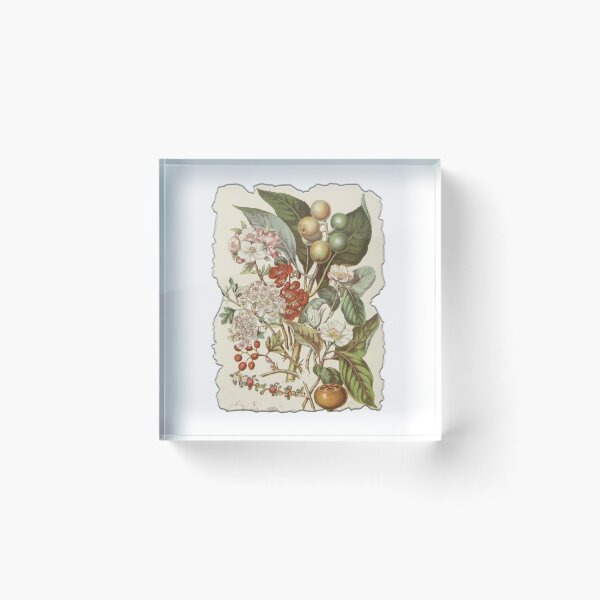 Item preview, Vintage Botanical Floral Flower Plant Art Drawing designed and sold by PodiShawna.