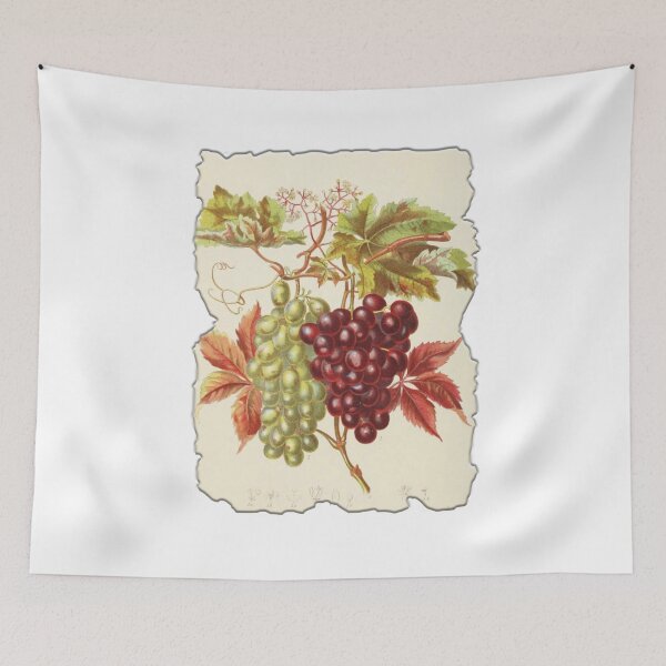 Item preview, Vintage Botanical Floral Flower Plant Art Drawing designed and sold by PodiShawna.