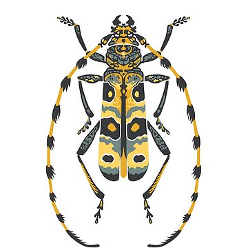 Artwork thumbnail, Longhorn Beetles by karolfuldesigns