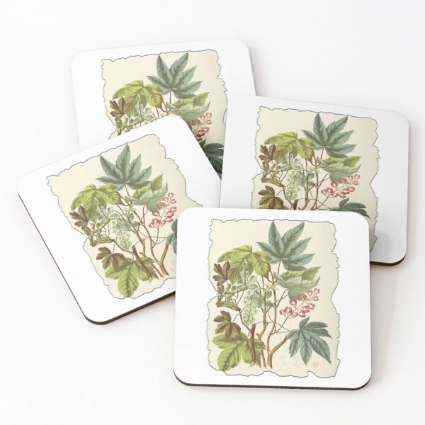 Item preview, Vintage Botanical Floral Flower Plant Art Drawing designed and sold by PodiShawna.