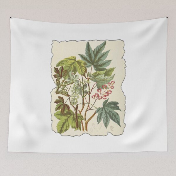 Item preview, Vintage Botanical Floral Flower Plant Art Drawing designed and sold by PodiShawna.