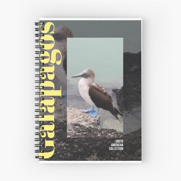 Aperçu de l'œuvre Fou à pattes bleues 'Galapagos' créée et vendue par BullishGraphics.