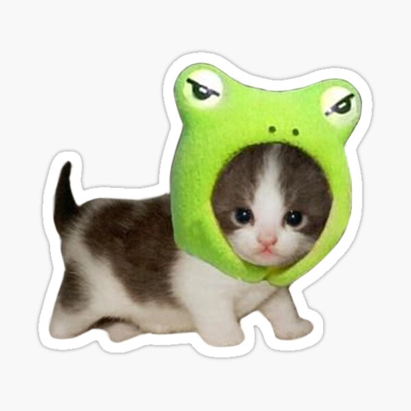 "cat with froggie hat" Sticker for Sale by jvsmin Redbubble