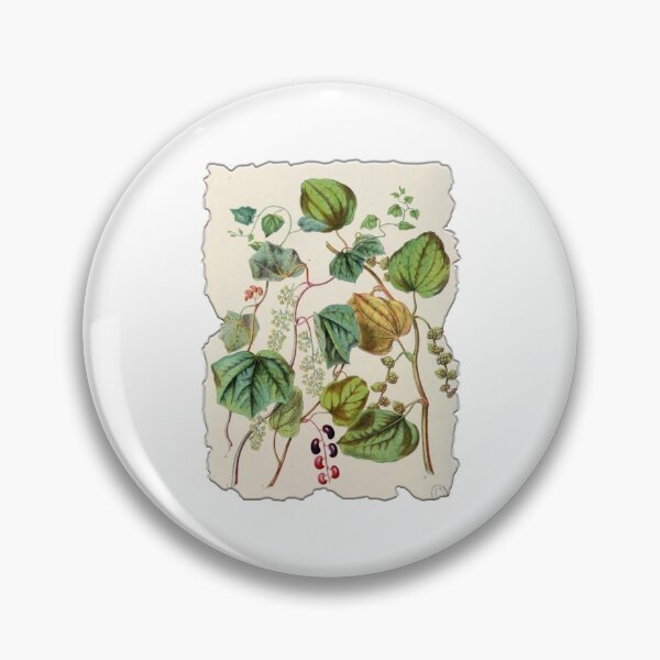 Item preview, Vintage Botanical Floral Flower Plant Art Drawing designed and sold by PodiShawna.