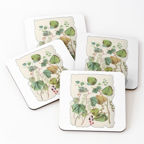 Item preview, Vintage Botanical Floral Flower Plant Art Drawing designed and sold by PodiShawna.