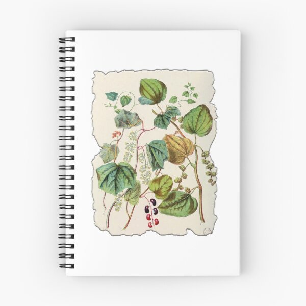 Item preview, Vintage Botanical Floral Flower Plant Art Drawing designed and sold by PodiShawna.