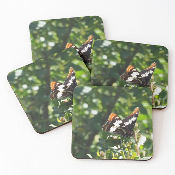 Item preview, California Sister Butterfly designed and sold by happynaturalist.