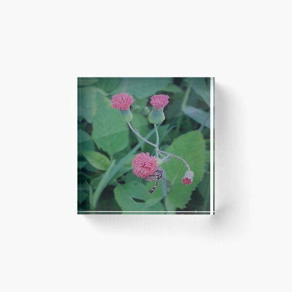 Item preview, WASP AND THE PINK  FLOWER DESIGN designed and sold by Coolklaset.
