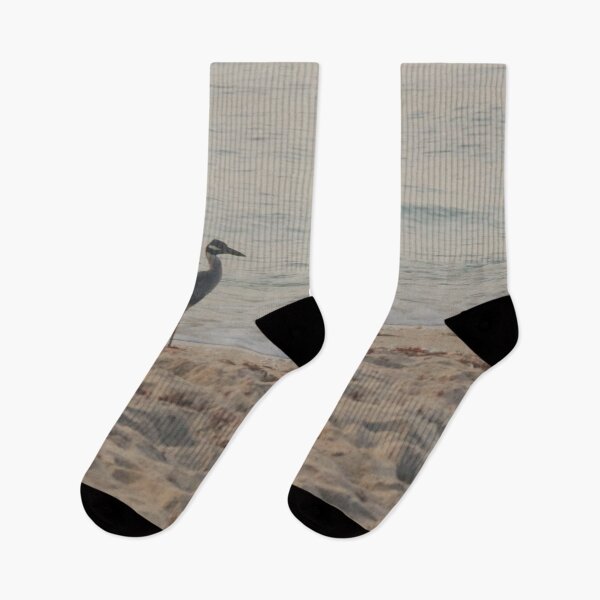 Item preview, Heron on the beach in the morning designed and sold by YR-Collections.