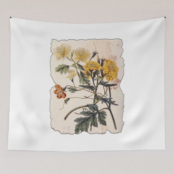 Item preview, Vintage Botanical Floral Flower Plant Art Drawing designed and sold by PodiShawna.