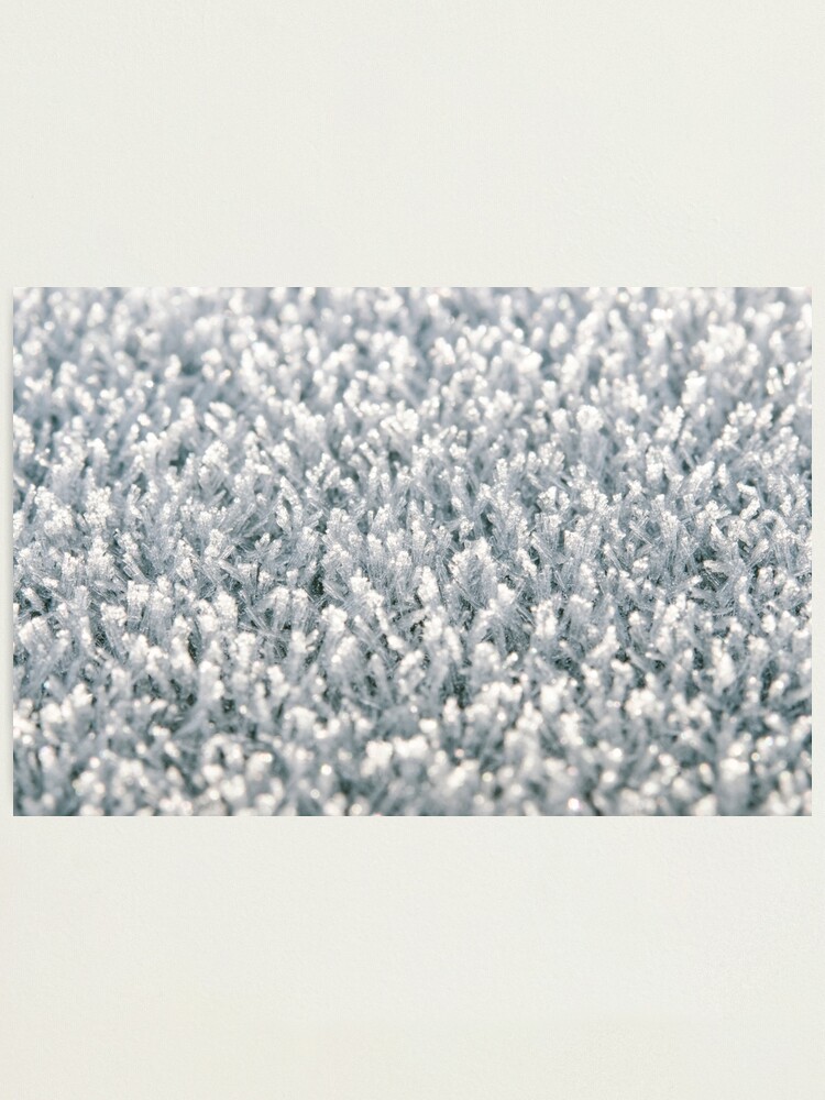 Alternate view of From Nowhere Photographic Print