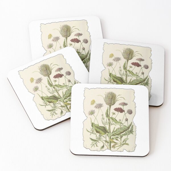 Item preview, Vintage Botanical Floral Flower Plant Art Drawing designed and sold by PodiShawna.
