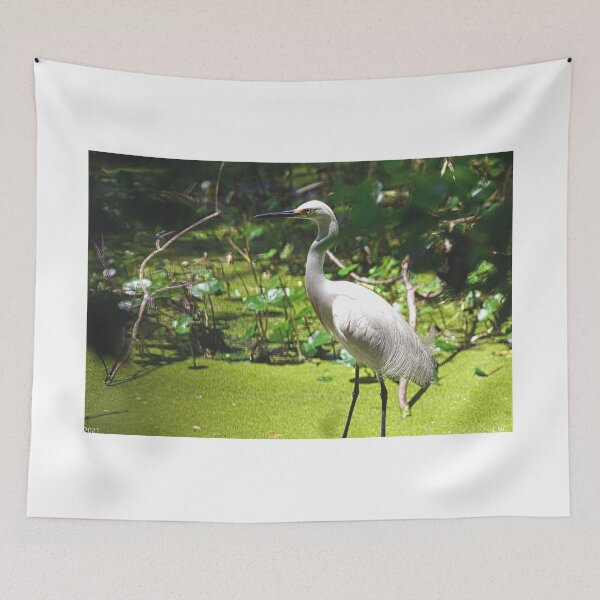 Item preview, Great Egret designed and sold by LisaWootenPhoto.