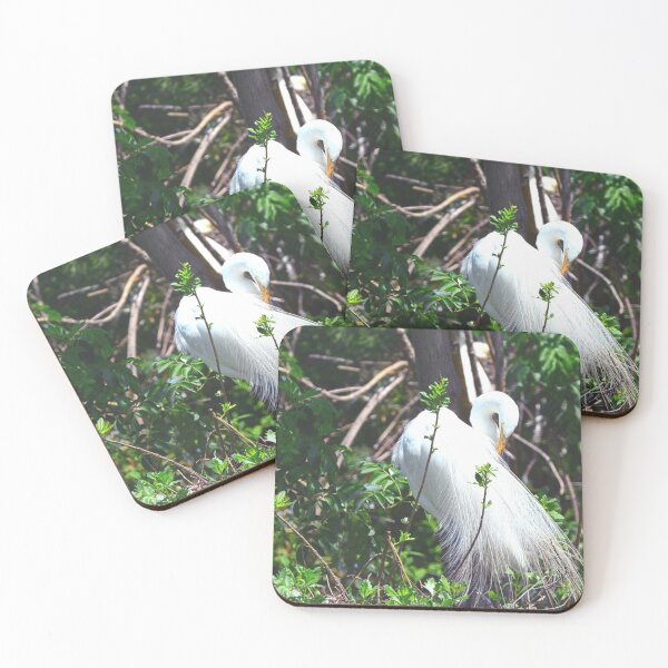 Item preview, Great Egret Plumage designed and sold by LisaWootenPhoto.
