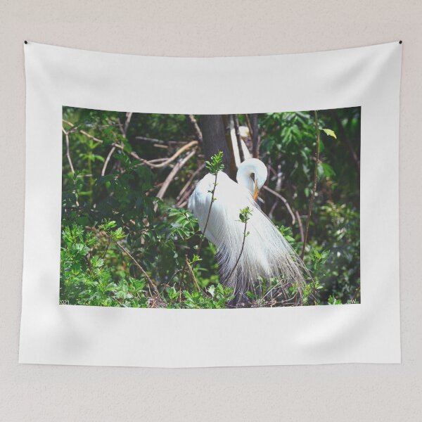 Item preview, Great Egret Plumage designed and sold by LisaWootenPhoto.