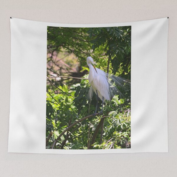 Item preview, Great Egret Plumage Vertical designed and sold by LisaWootenPhoto.