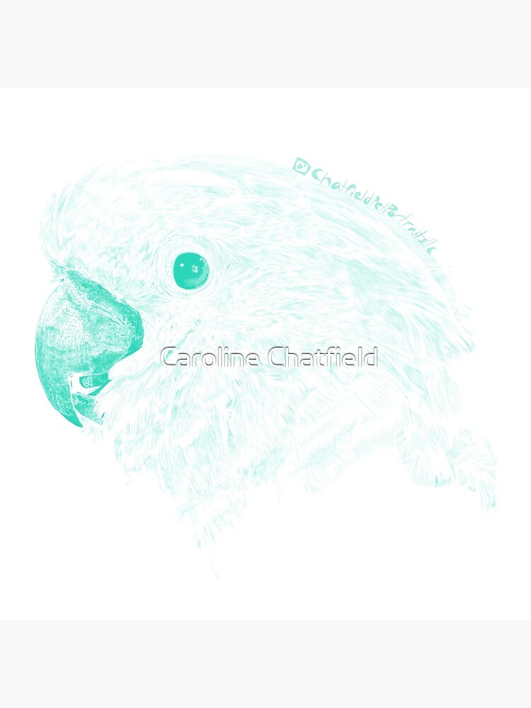 "Umbrella Cockatoo Drawing" Poster for Sale by ChatfieldPtPt Redbubble