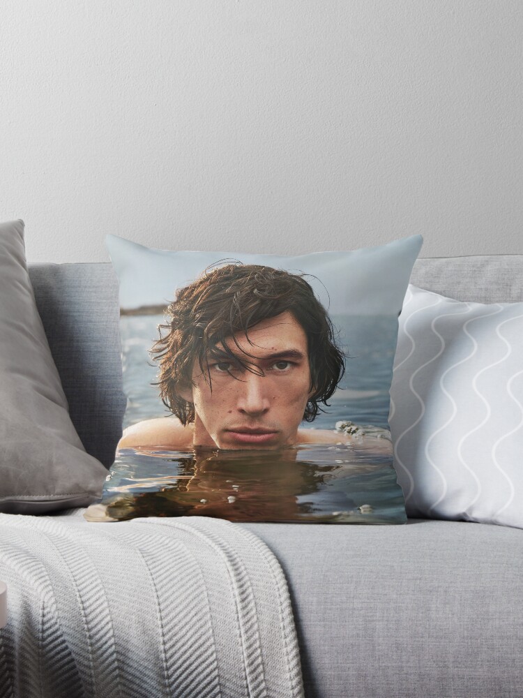 https://ih1.redbubble.net/image.2563151084.1376/throwpillow,small,750x1000-bg,f8f8f8.jpg