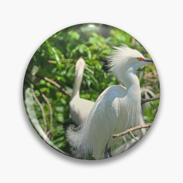 Item preview, Juvenile Great Egret  designed and sold by LisaWootenPhoto.
