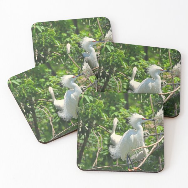 Item preview, Juvenile Great Egret  designed and sold by LisaWootenPhoto.